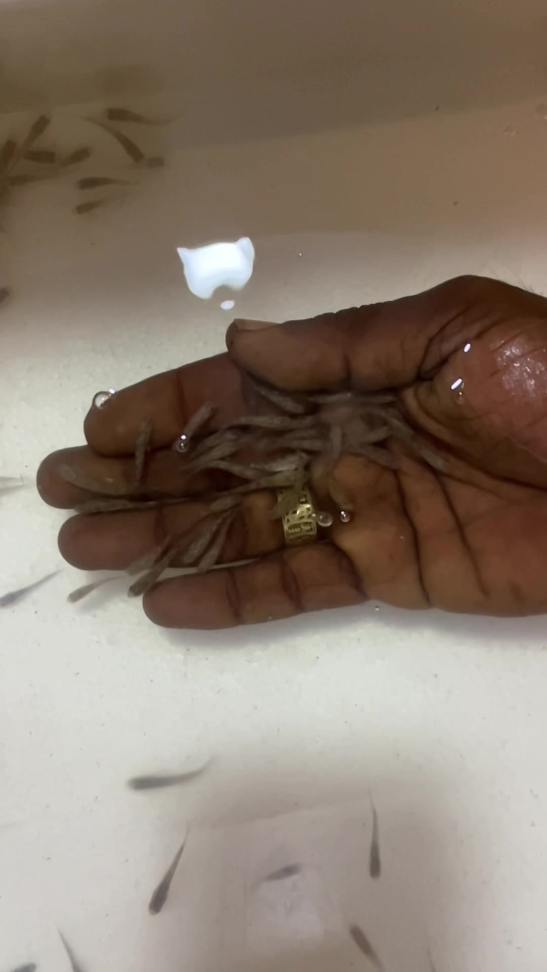@விஷ்வா @ விச்சு 18
