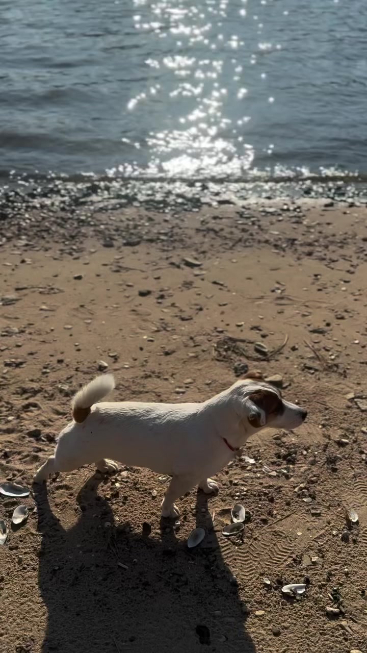 @Любовь