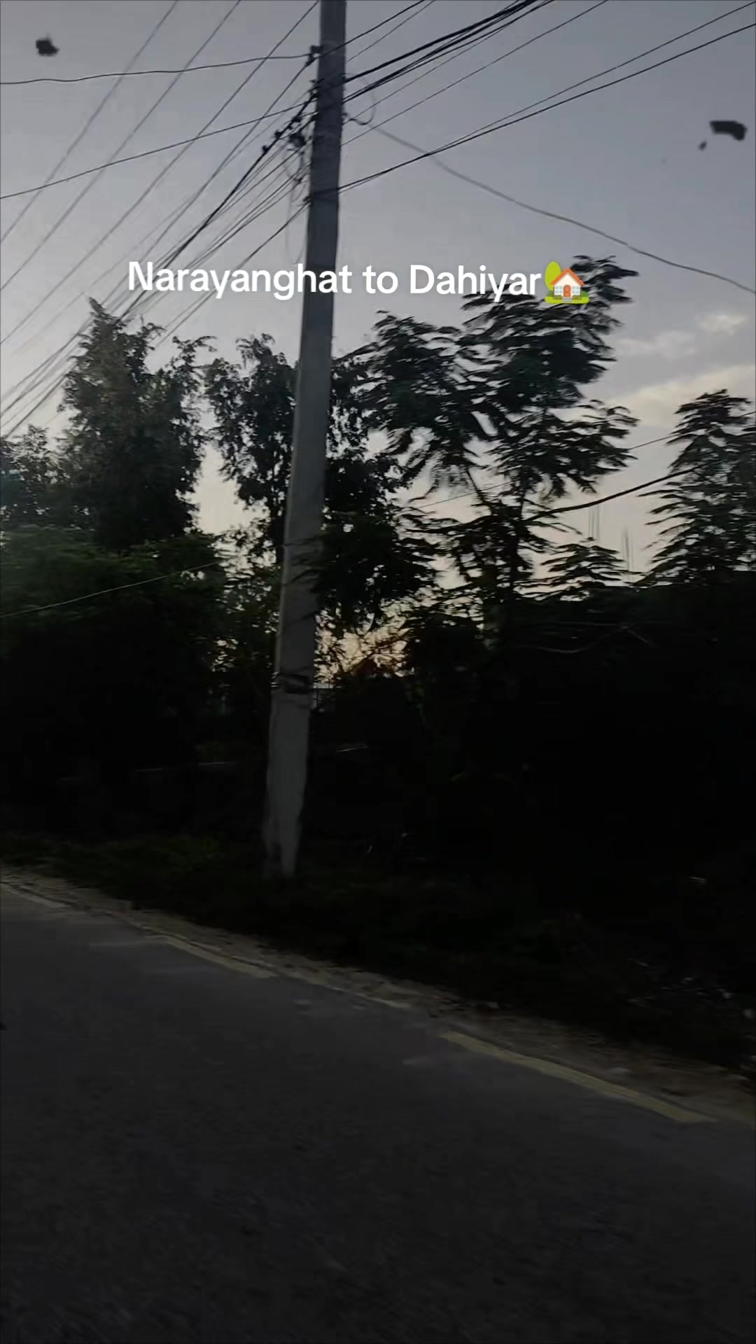 @🕊️