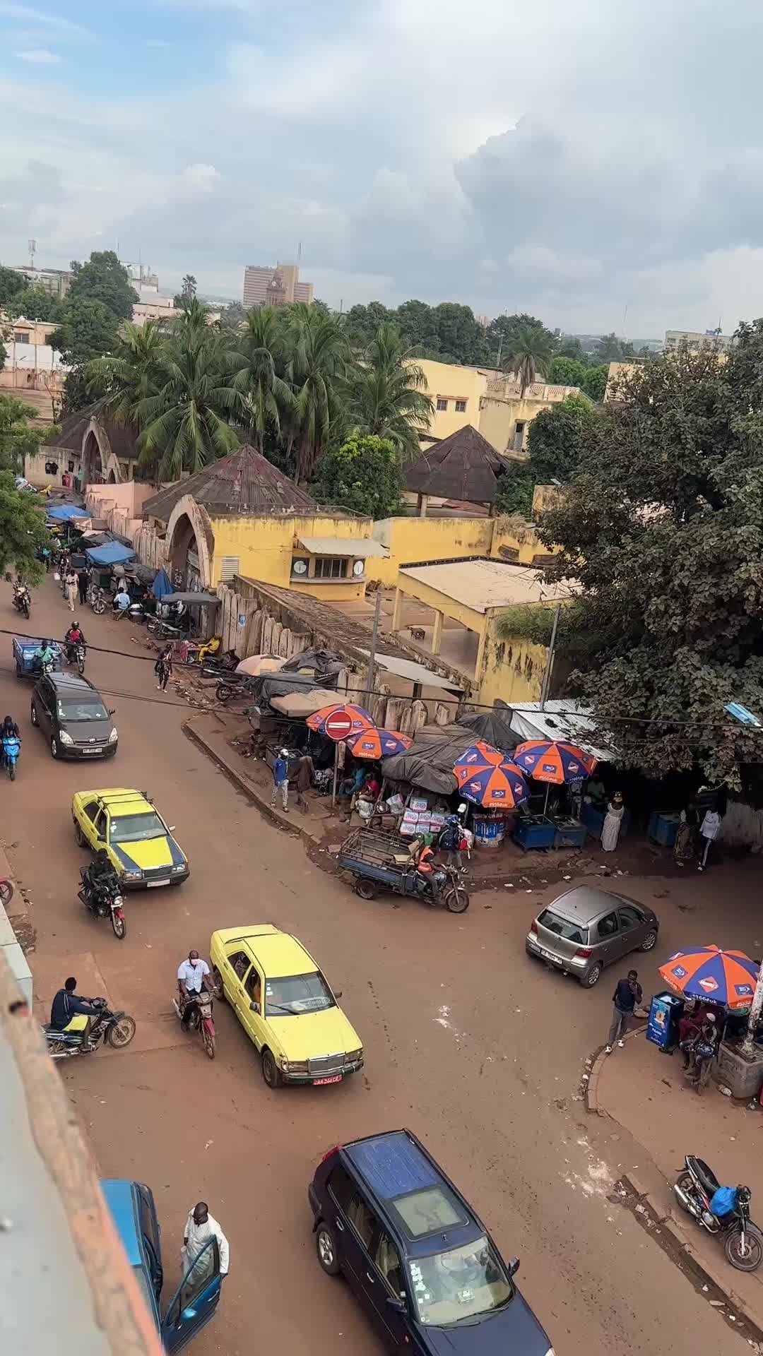 @Teammalian