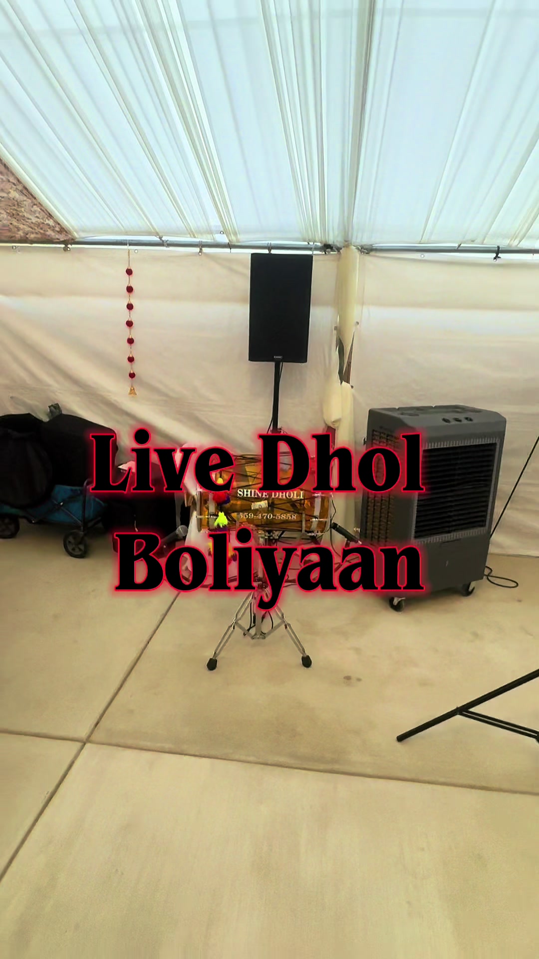 @dj_shine_dholi