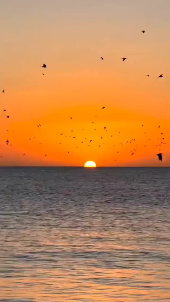 @s&oacute; mod&atilde;o