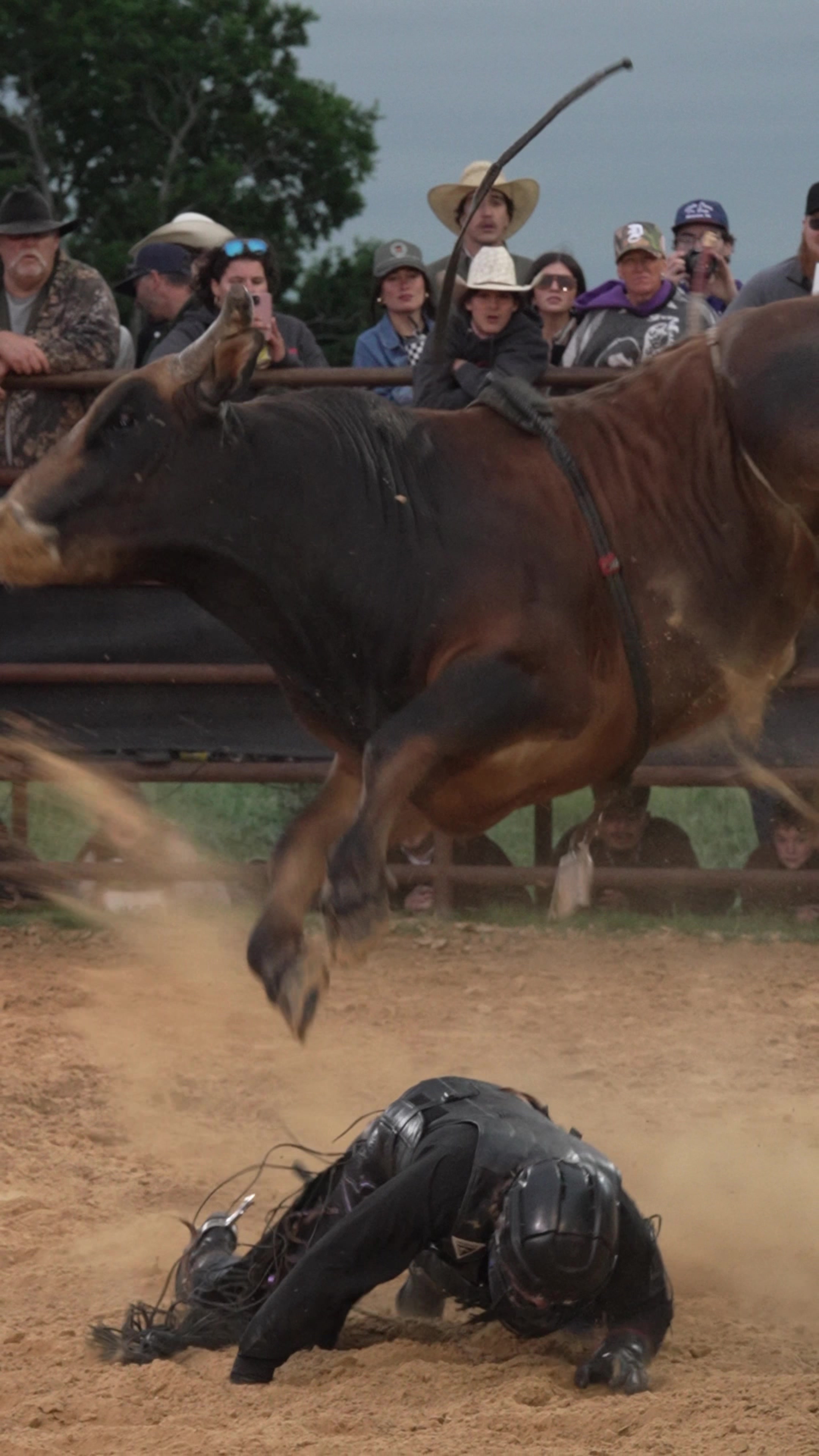 @Talk Rodeo To Me