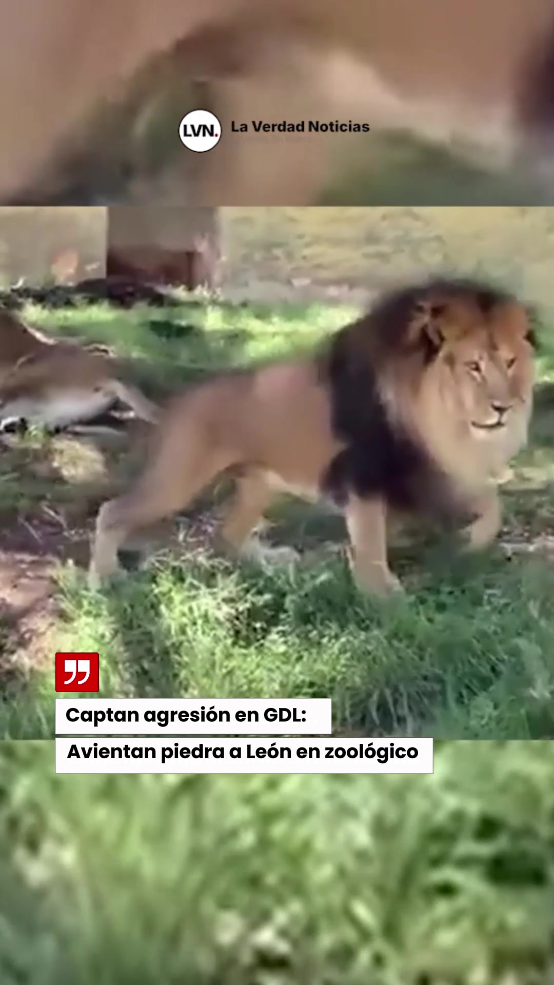 @lvn_noticias