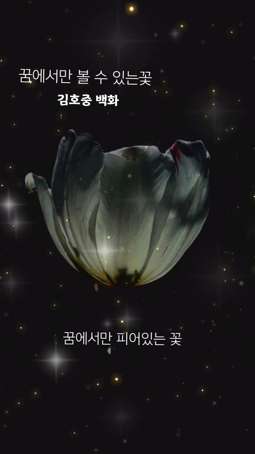 @태양3d6ss