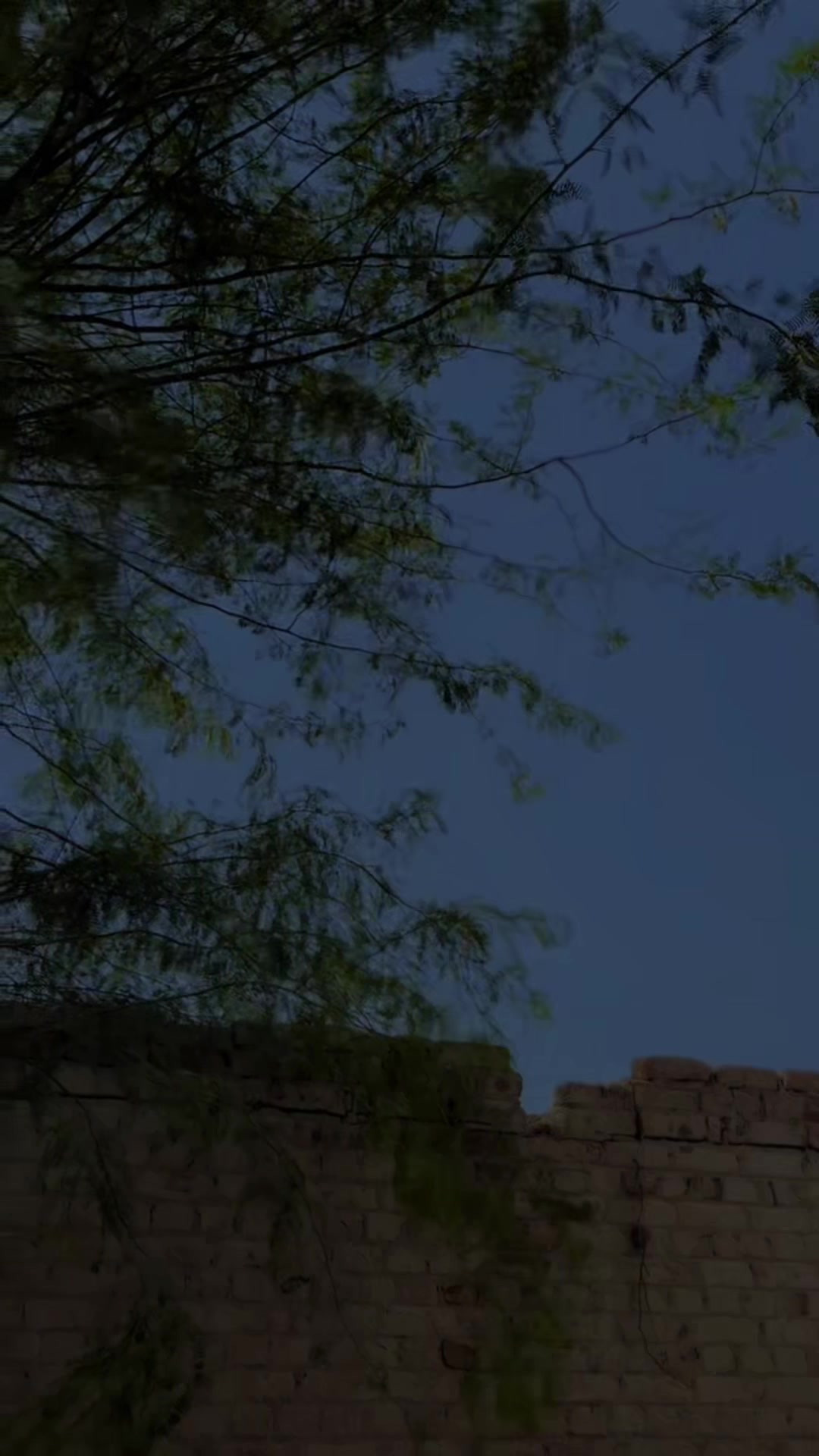 @❤️۔بلال ملاح۔🥀