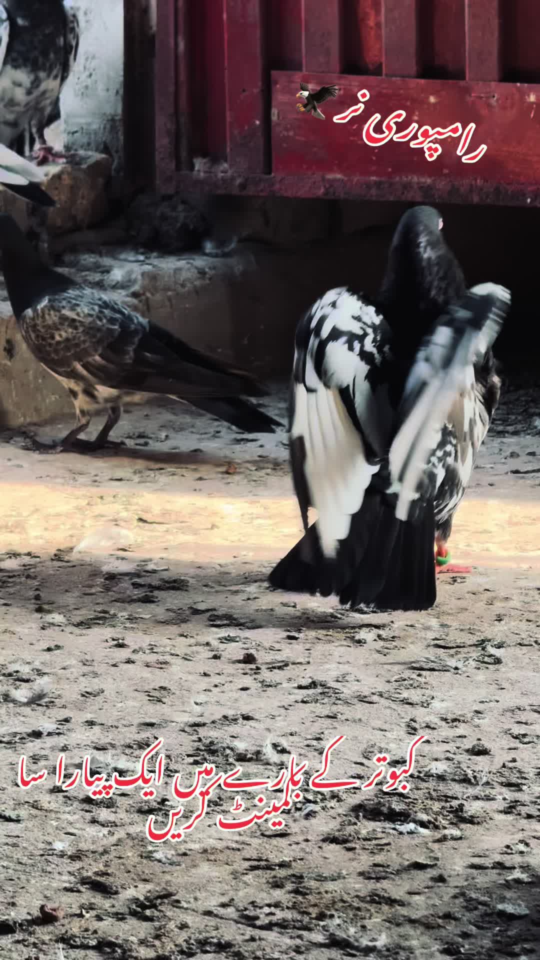 @شوق 🫀
