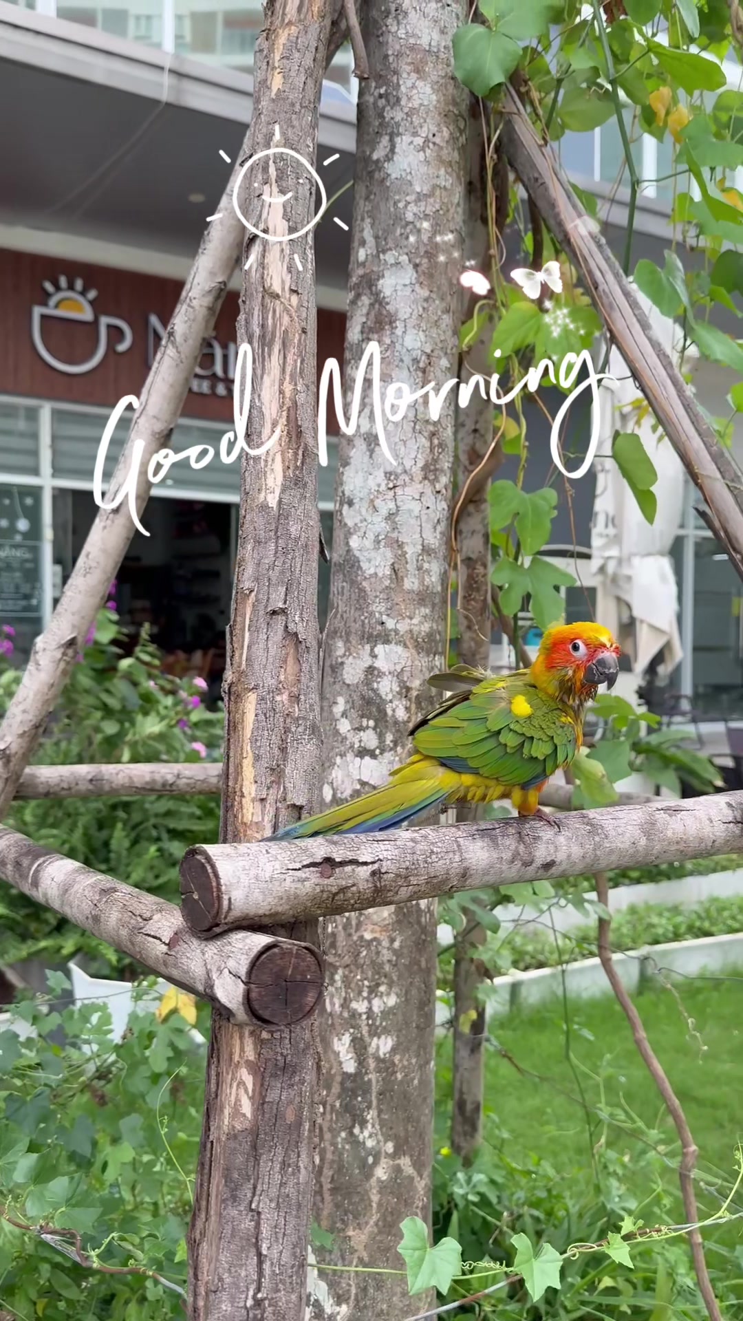 @Nắng Coffee Jamona Q7