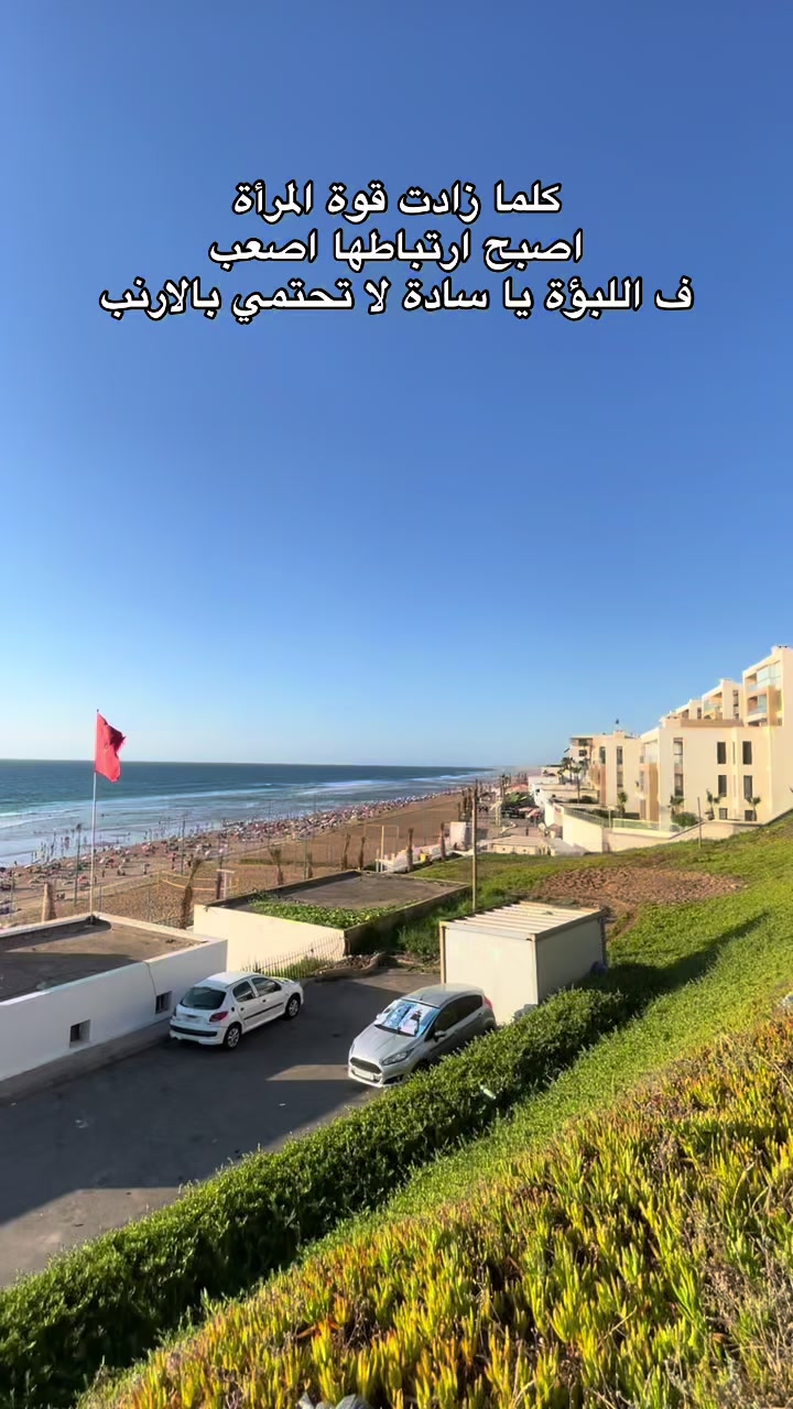@Reda Jamil Zizo🇲🇦