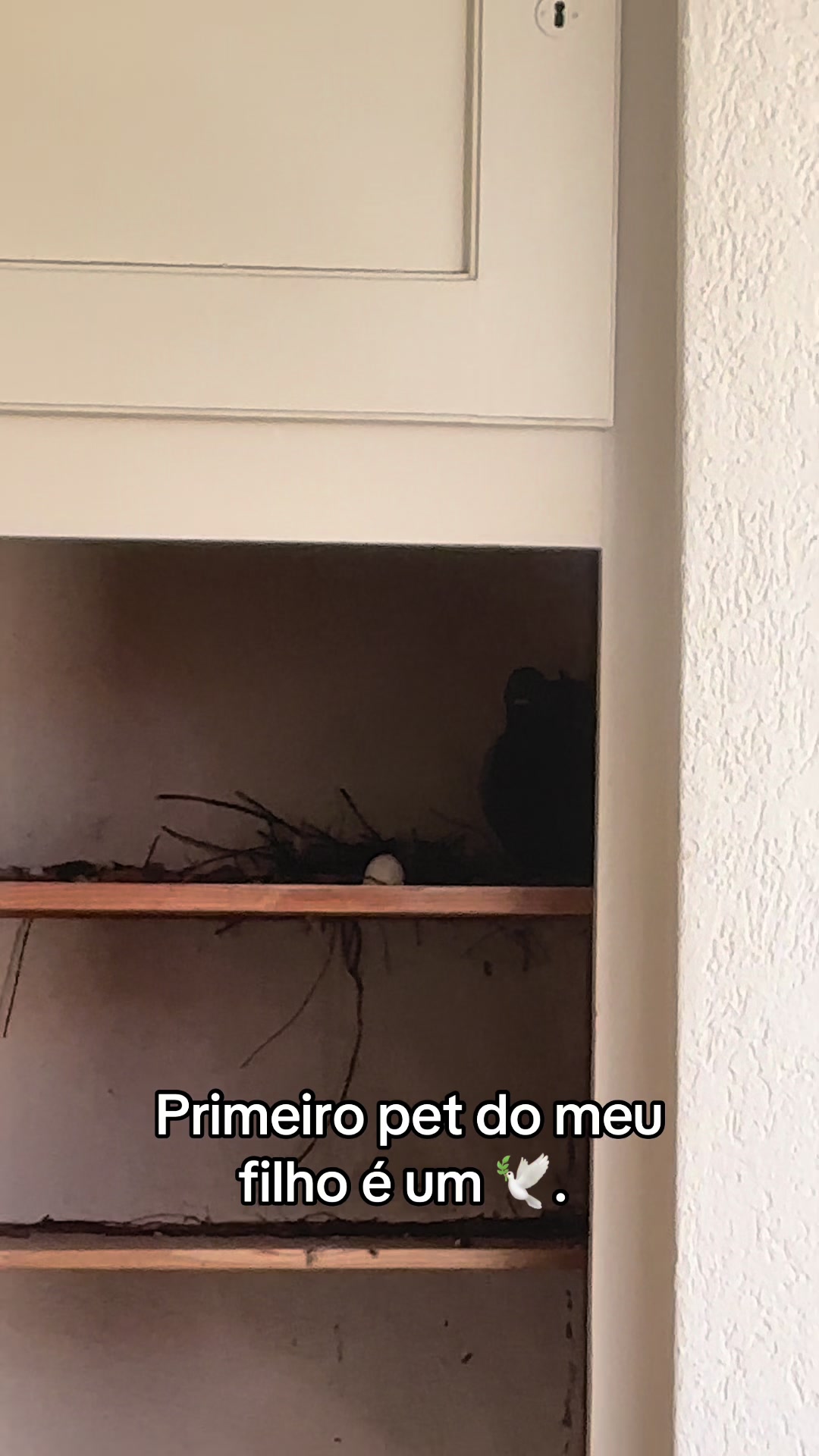 @Nay d'Oliveira
