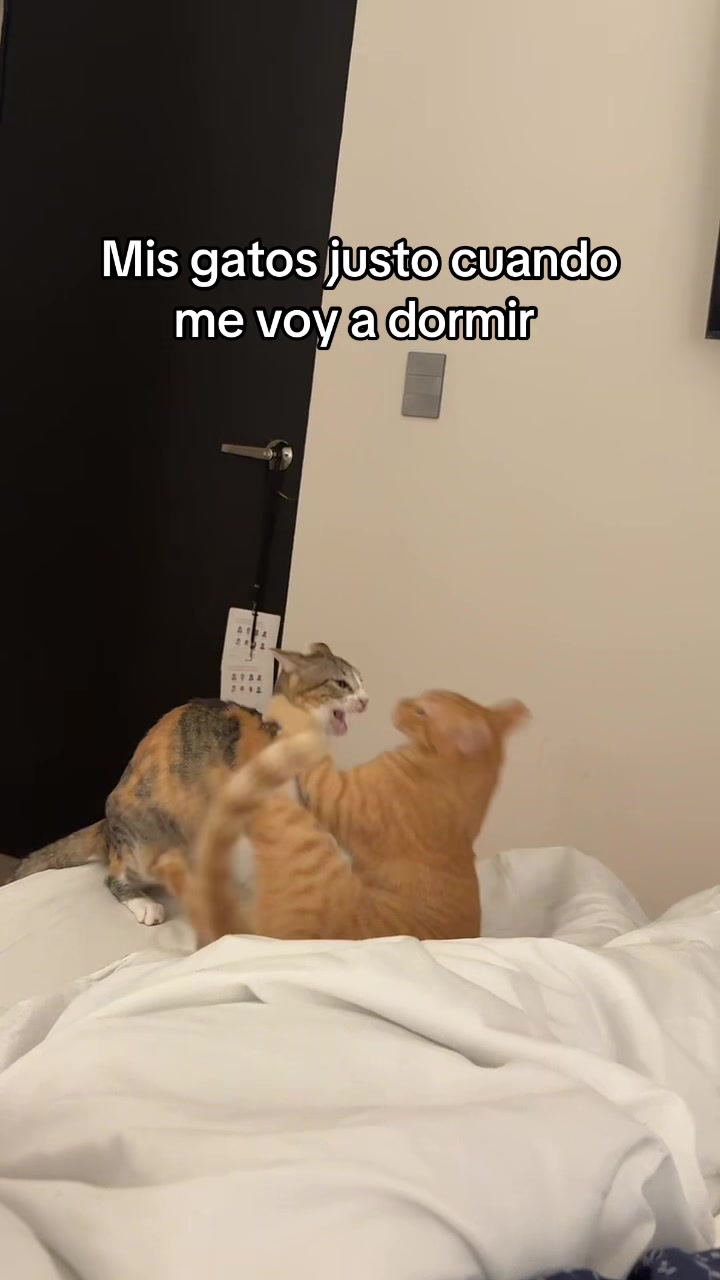 @Nina&figo