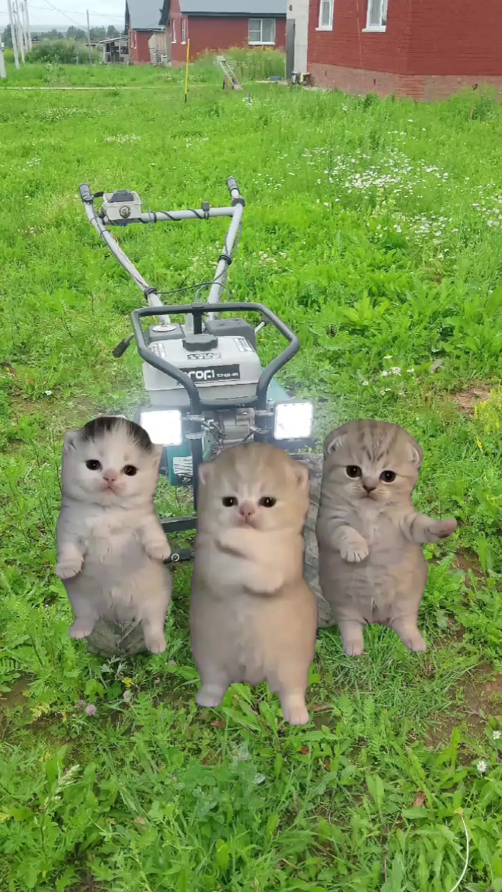 @Yuriy Alekseevich