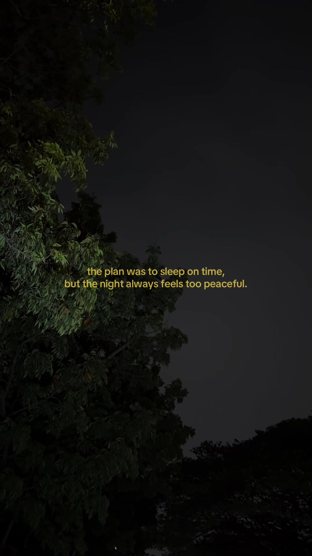 @goodbye stranger