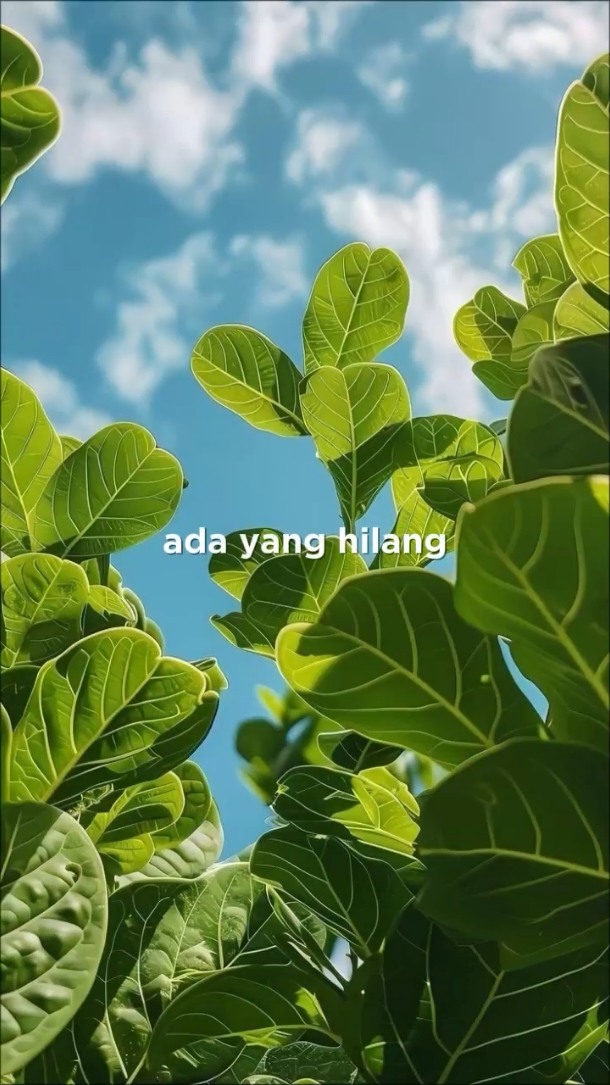 @๐๐๐ฒ ๐๐จ๐ซ๐ญ๐ฎ๐ง๐