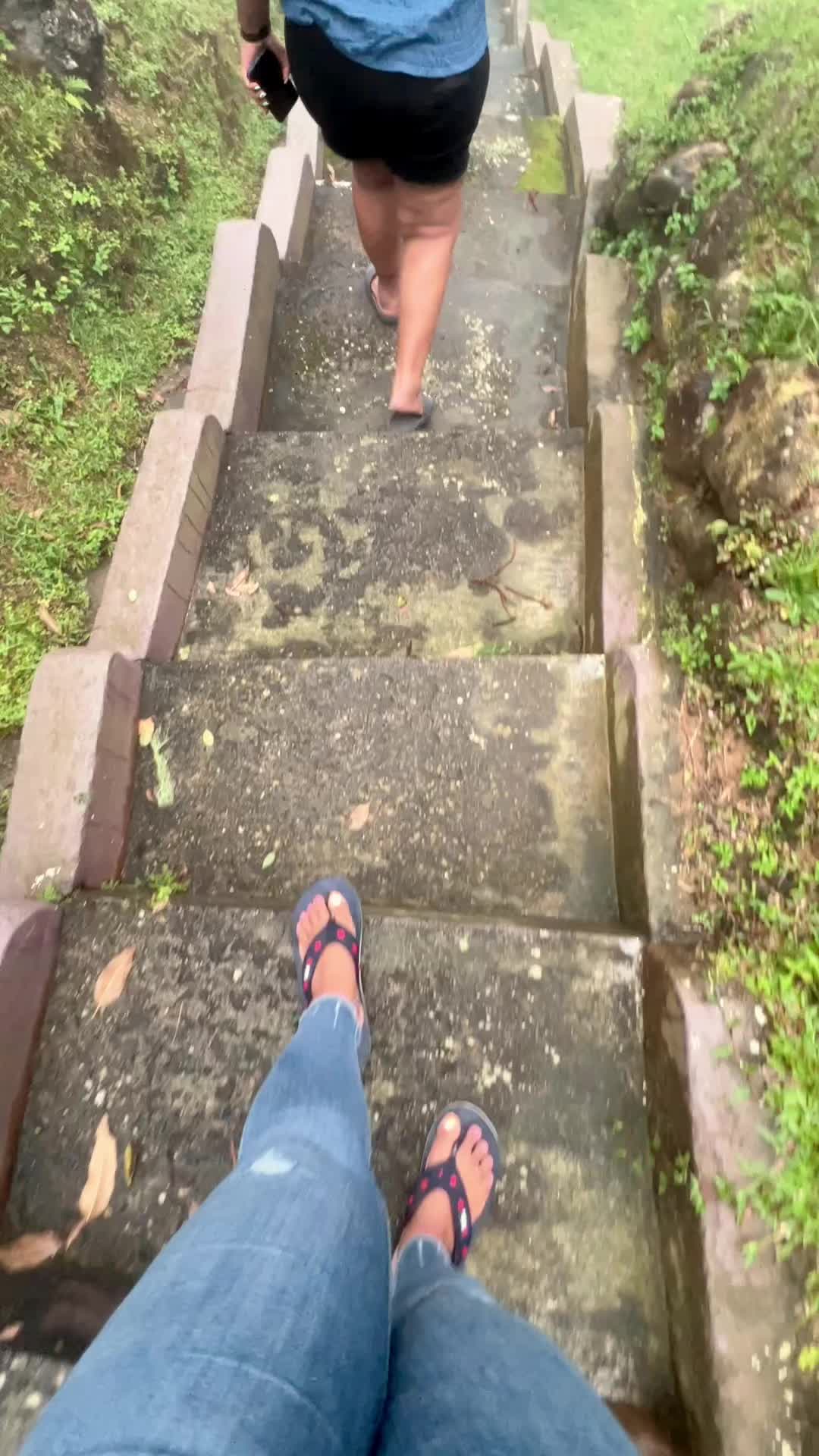 @✨🌸