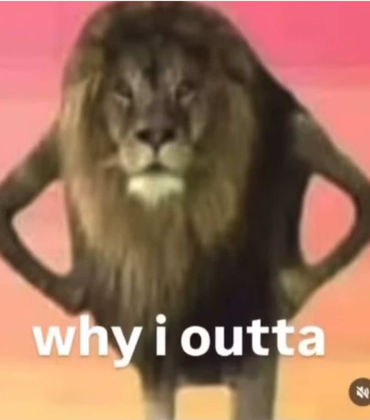 @๐๐๐