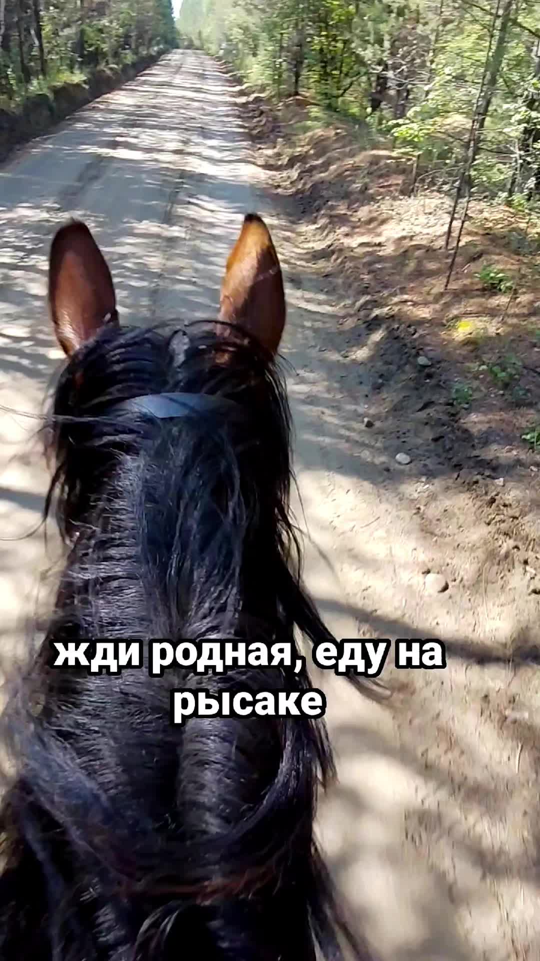 @Lena