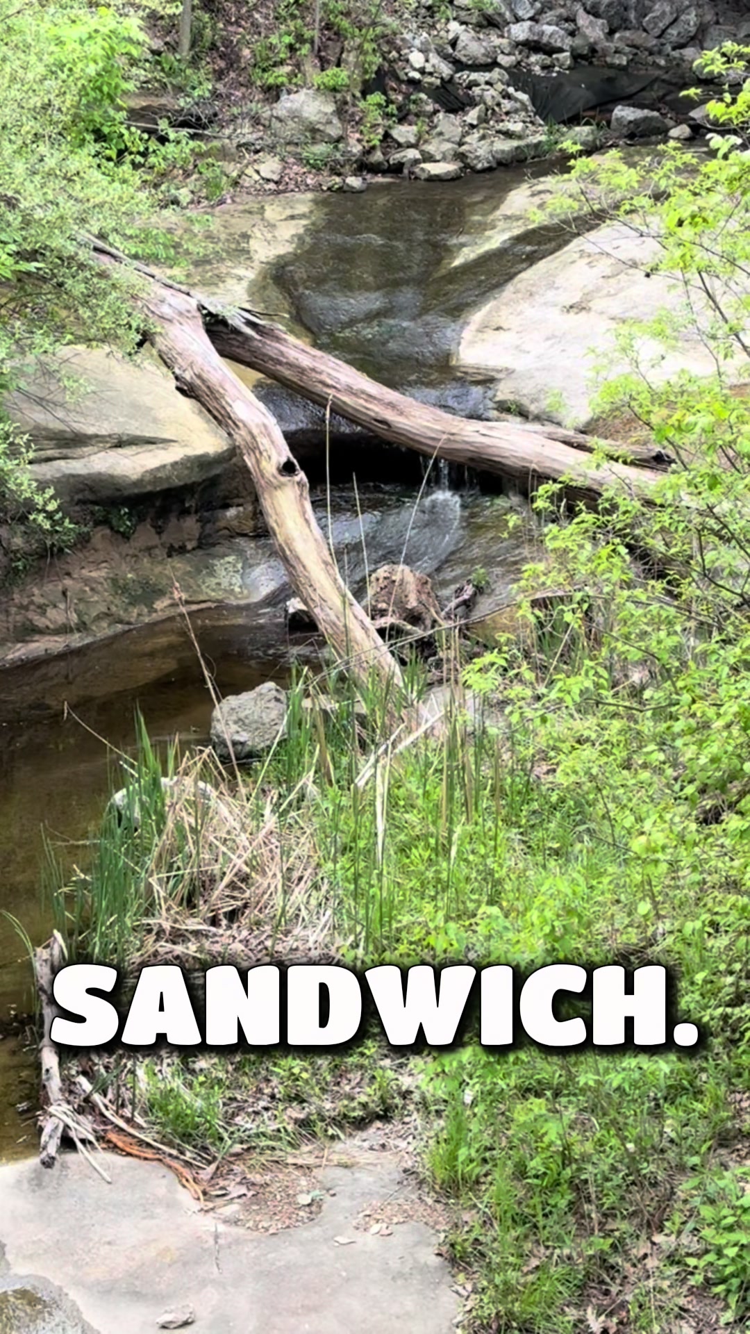 @Starved Rock State Park