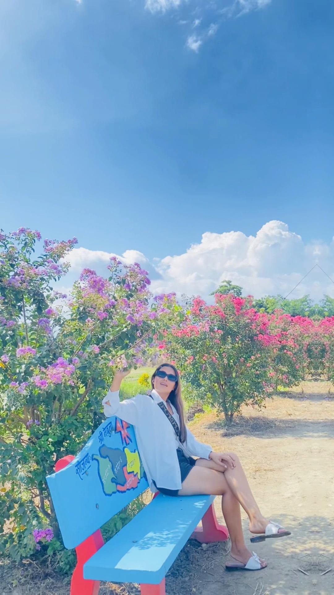 @Shree😍🧚&zwj;♀️🙏