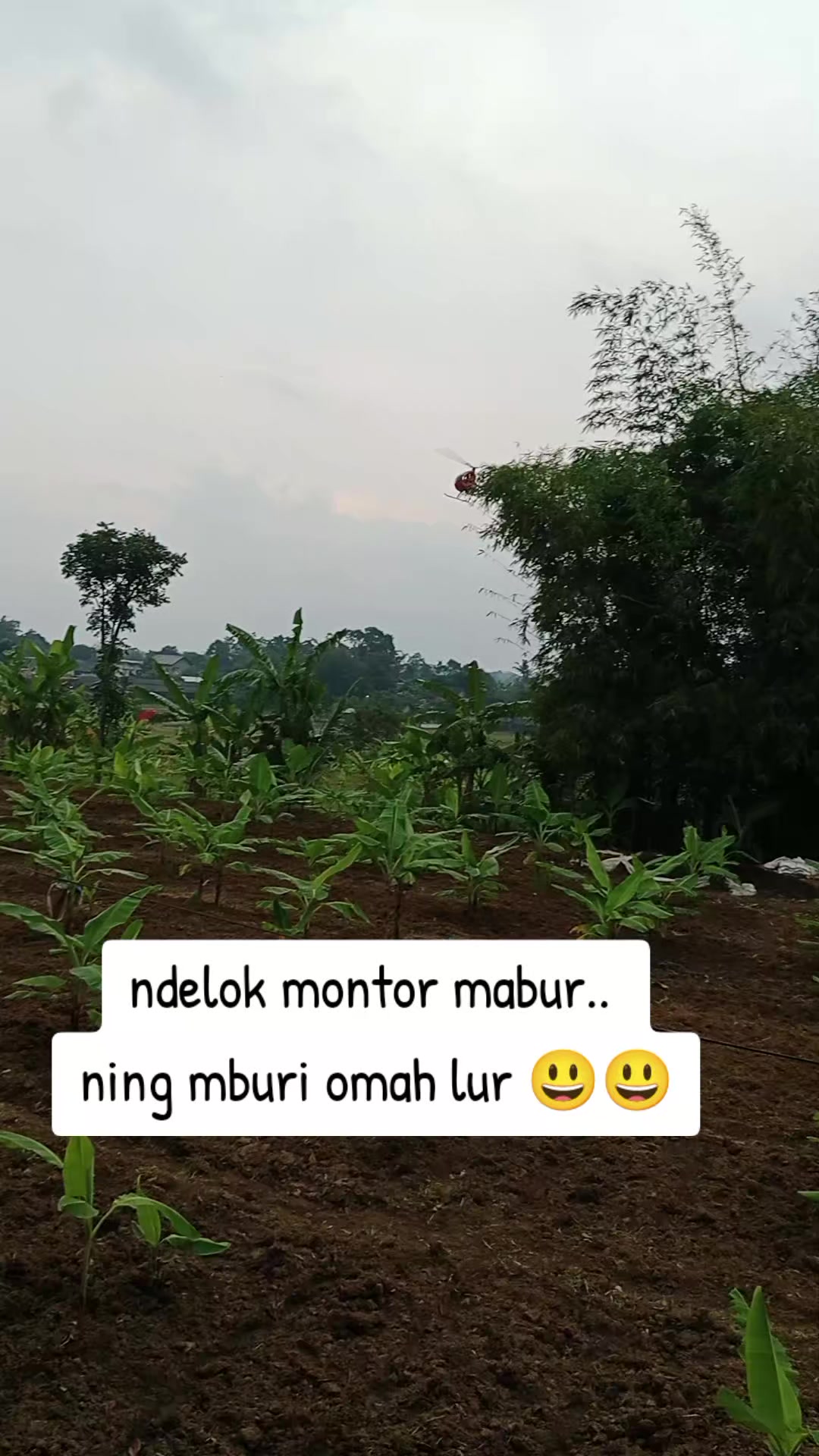 @🧡💙ERMAWATI 🧡💙