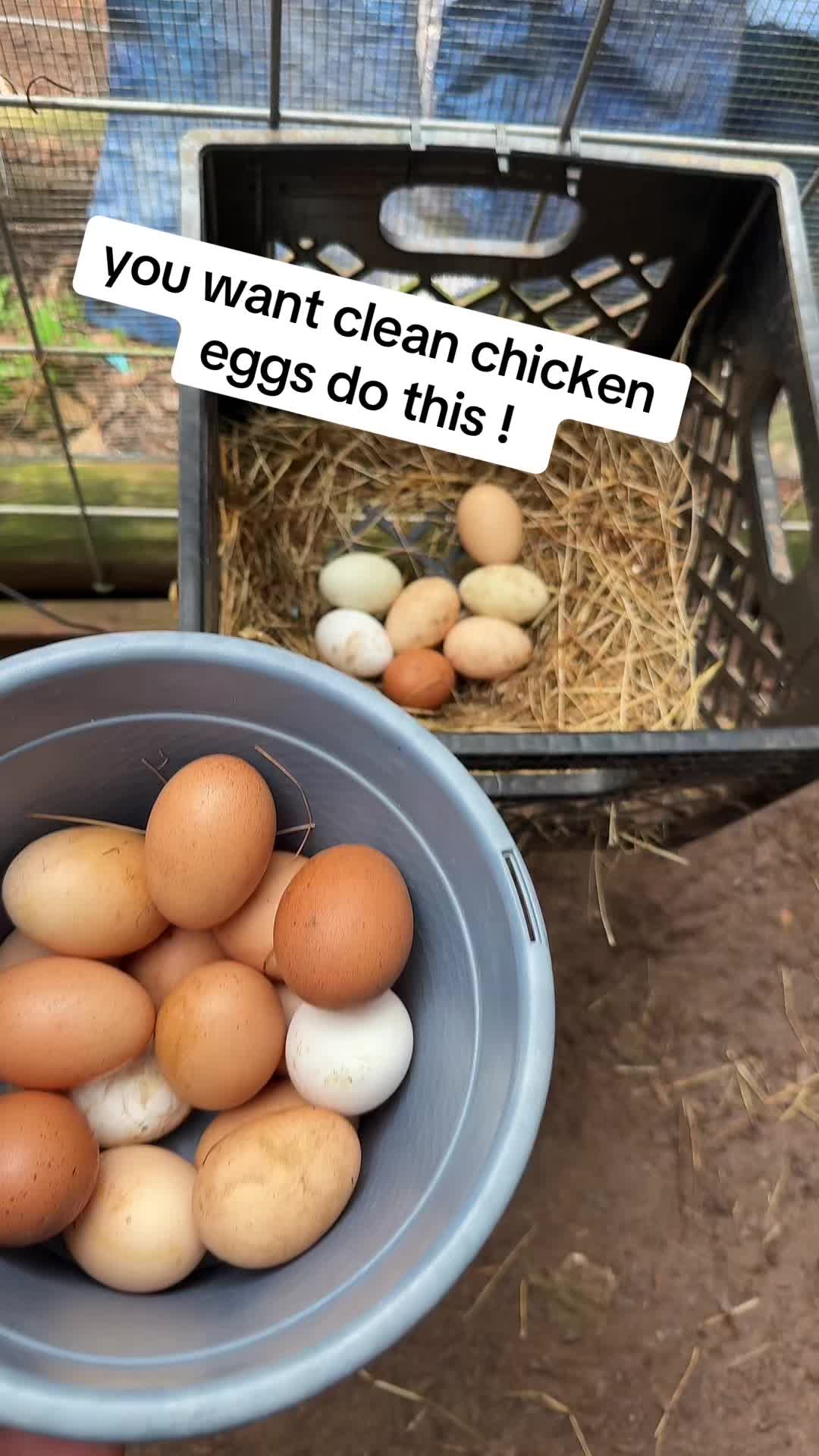@RastaKountryDream