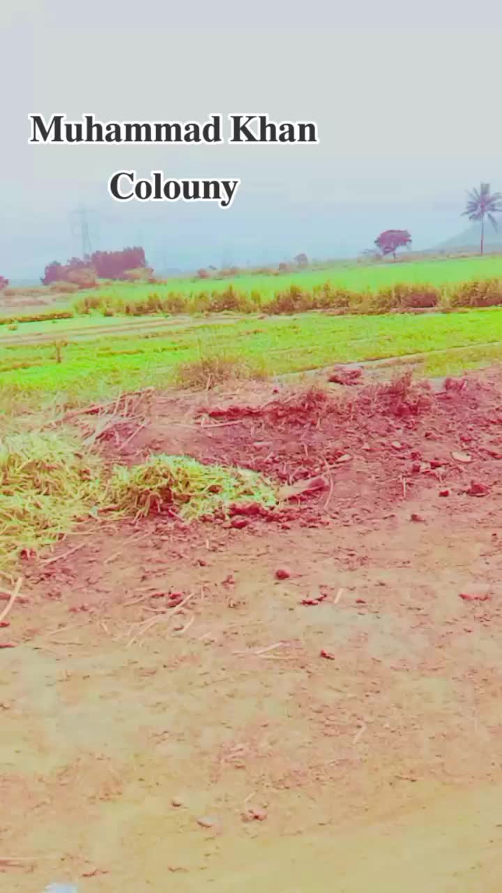 @✨༺꧁𝐑⚚𝐤꧂༻✨🎧