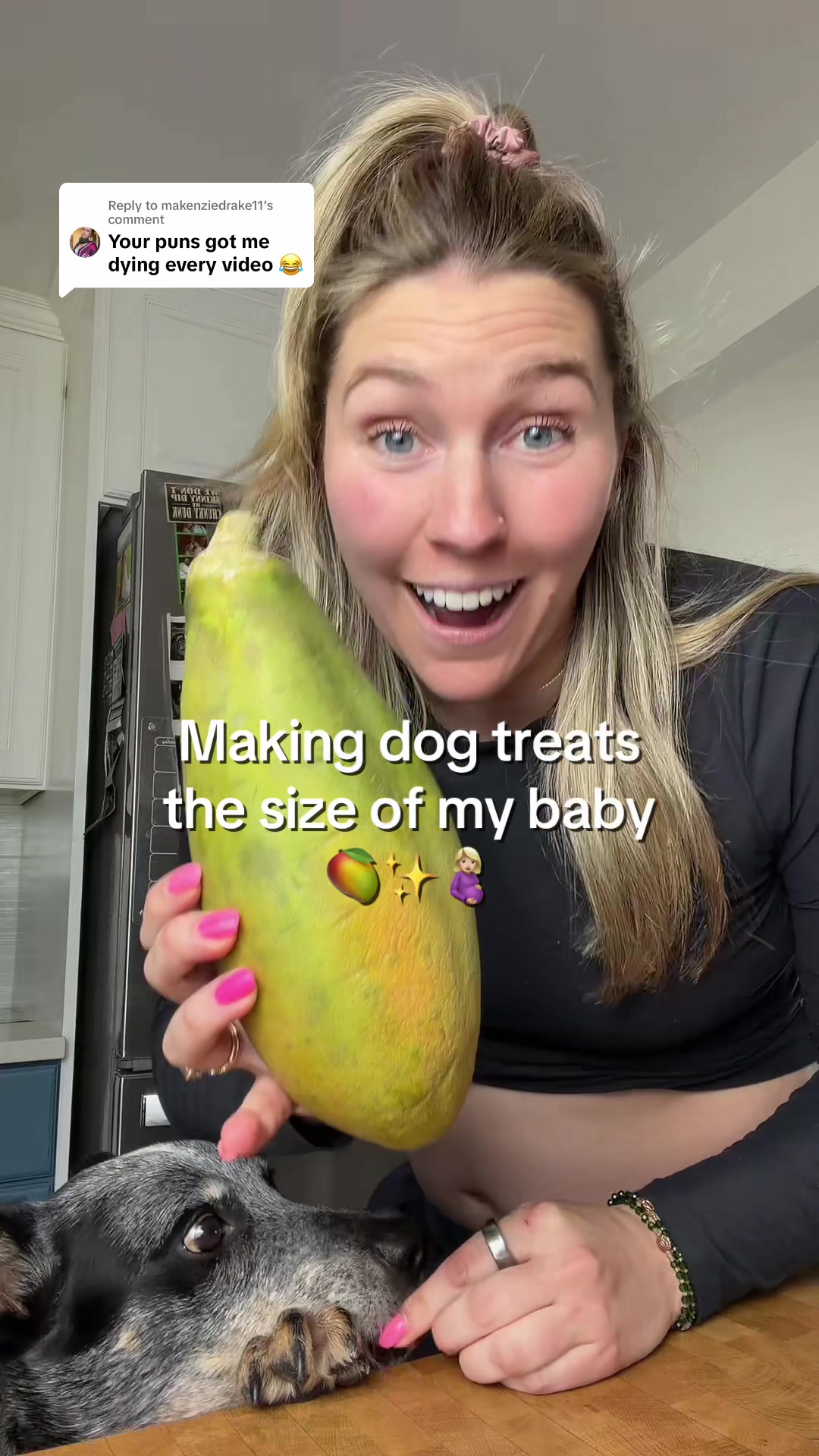 @The Z Cattle Dogs
