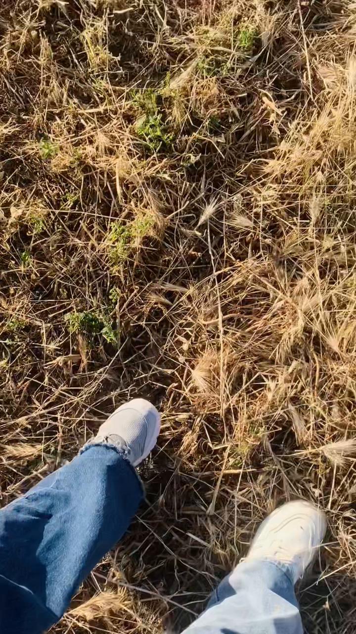 @souhaaasoo