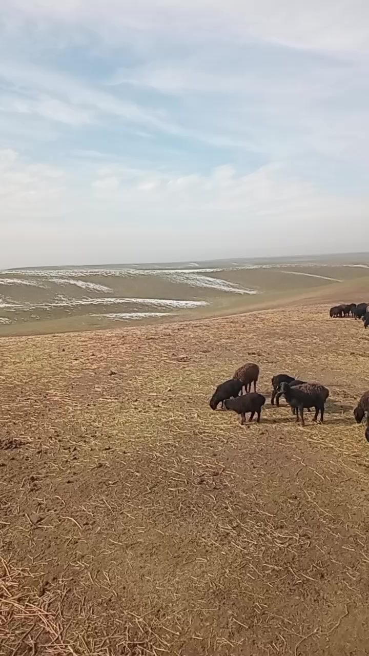 @Ғалымжан