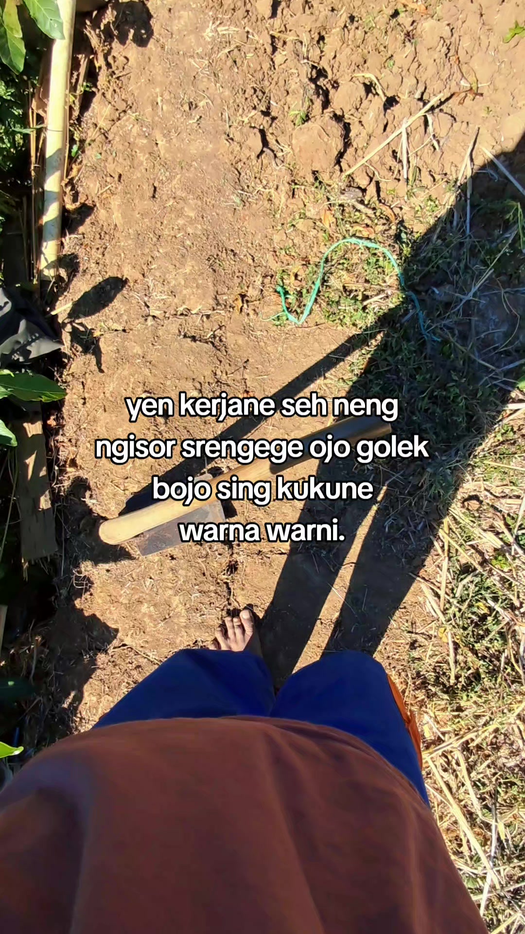 @al.farm¹