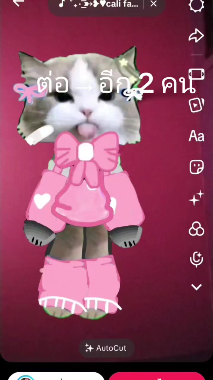 @🌸💮🌺มนอัน🌺🩷💮