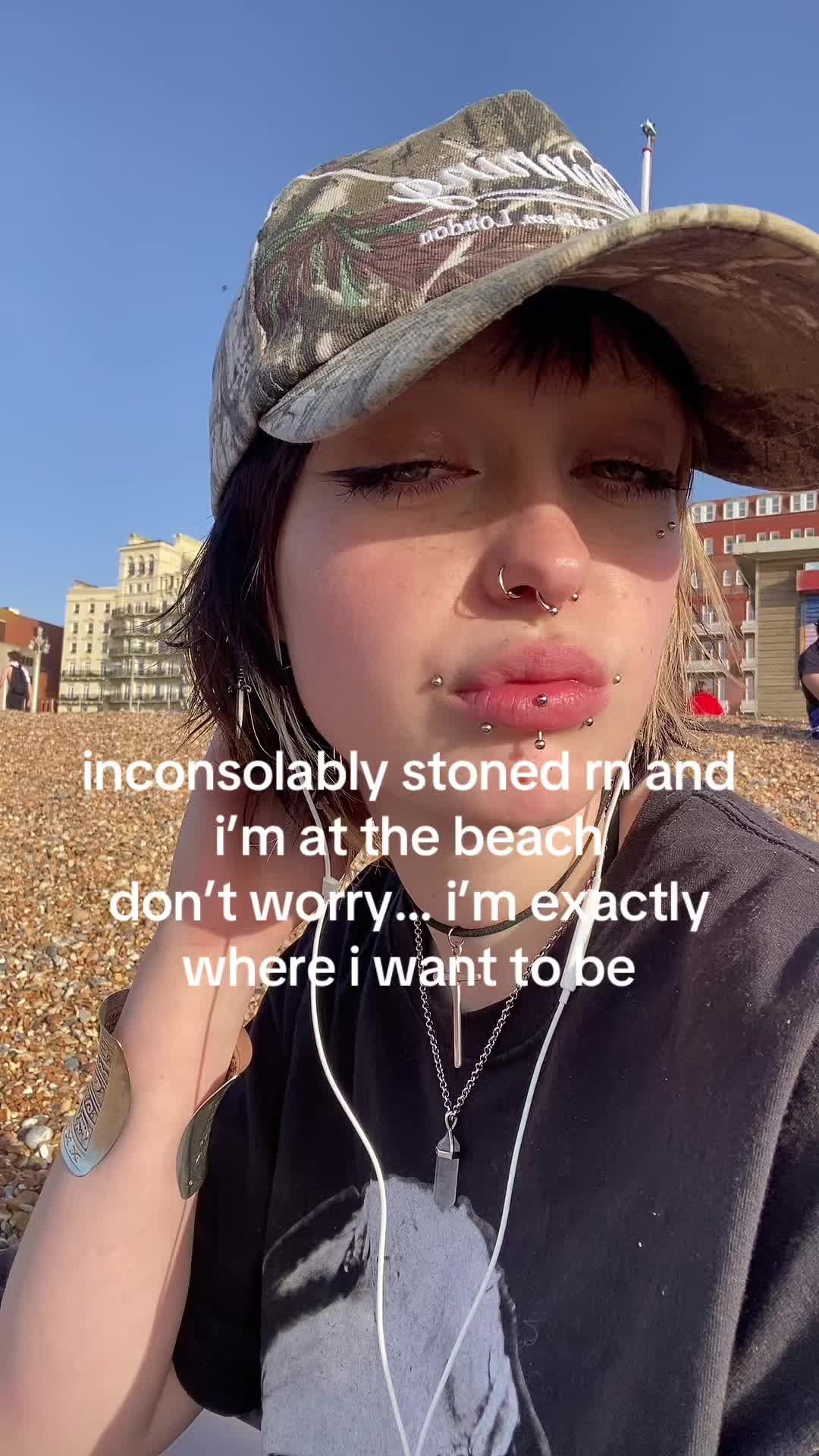 @🐾