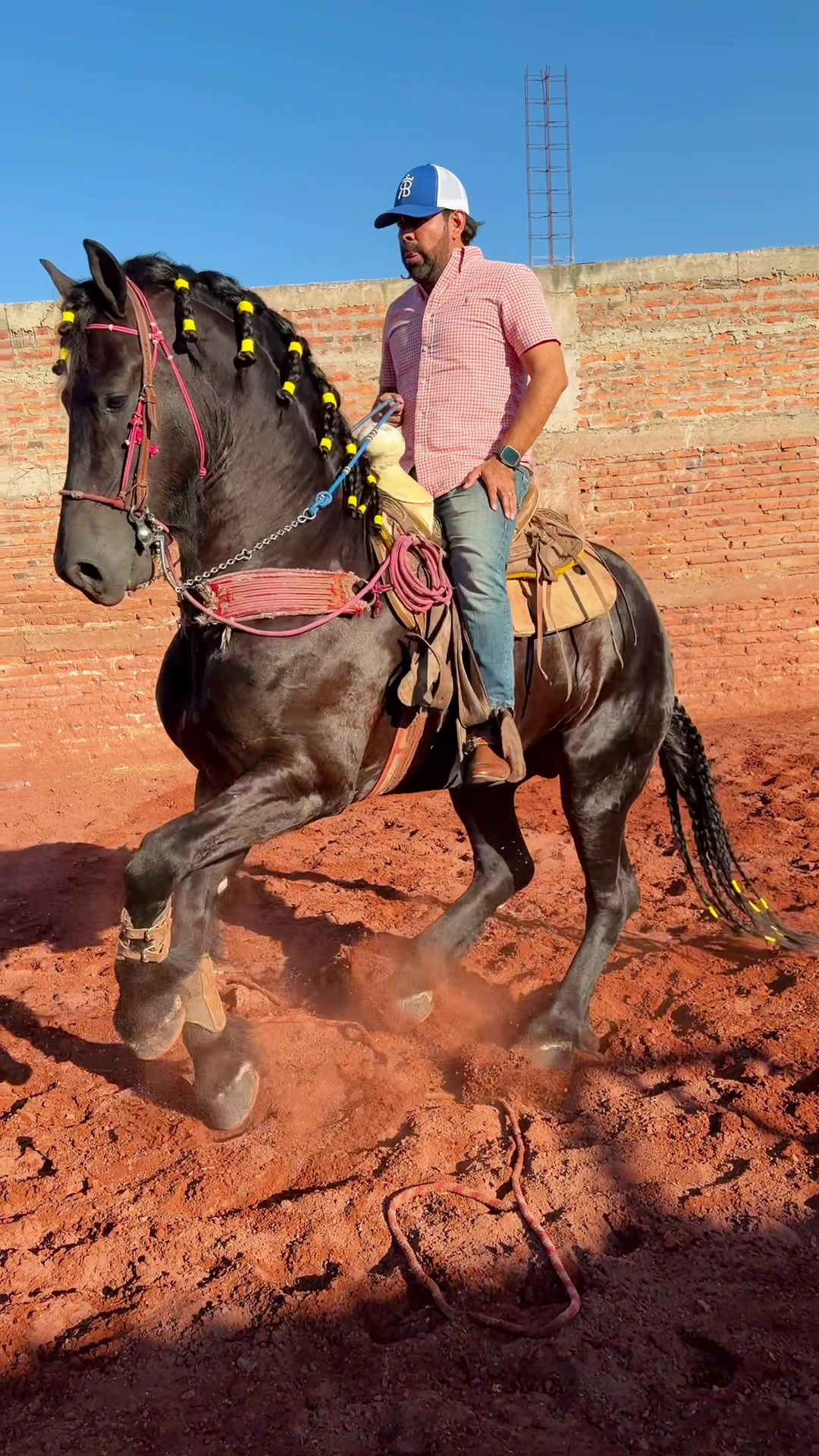 @Rancho los Arcos