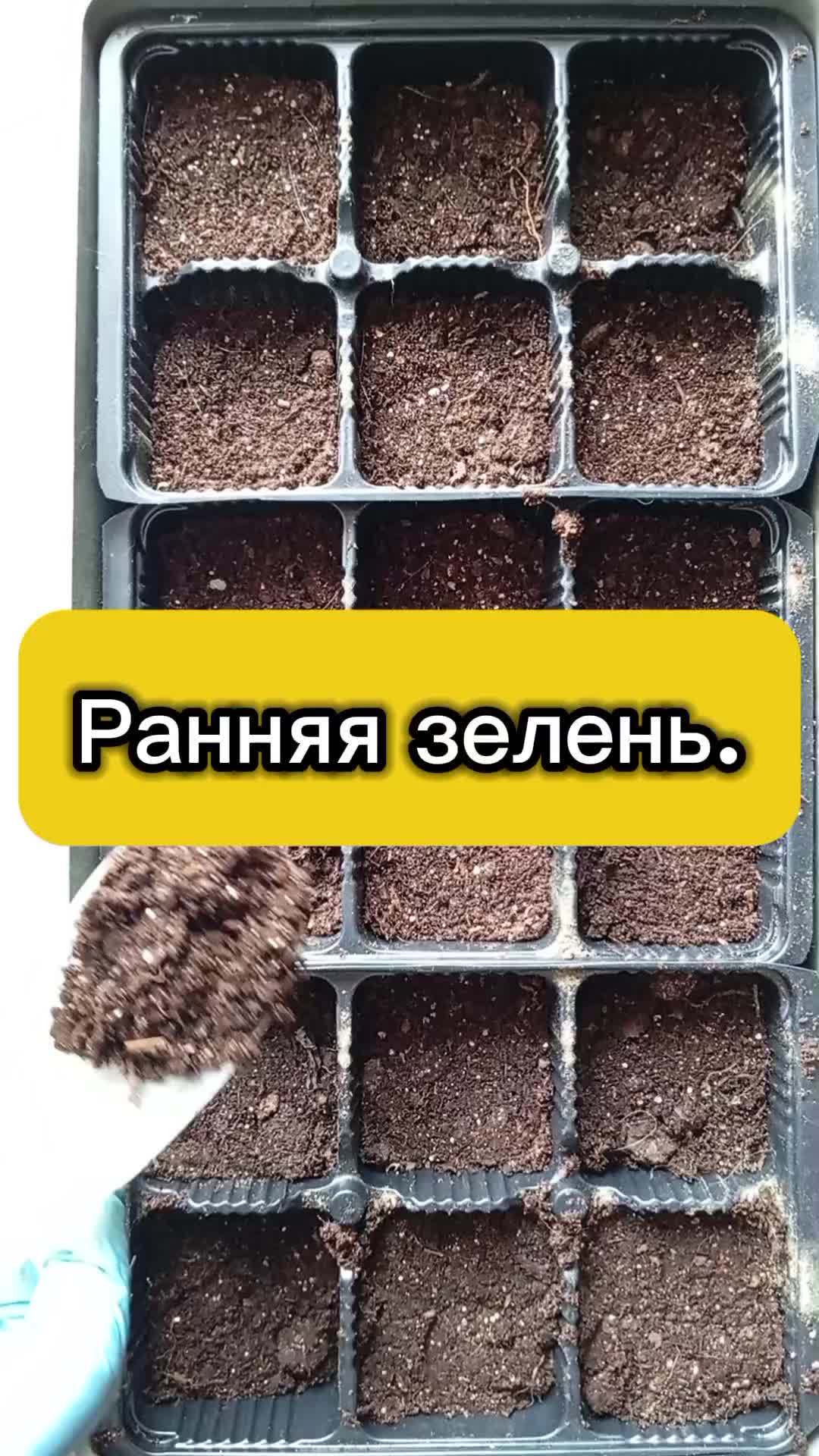 @Ogorodozigzag
