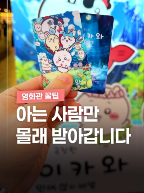 @짤컷