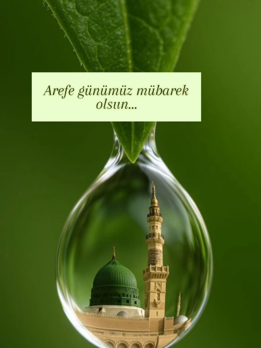 @hayat nereye gidiyor