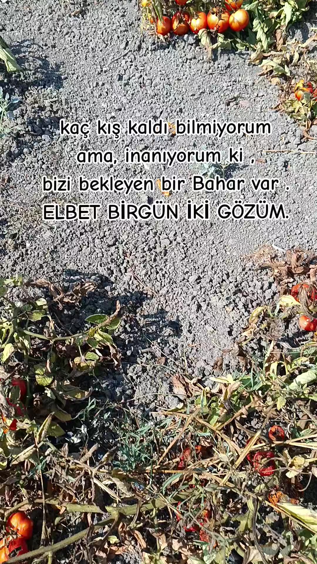 @🖤K&uuml;rt kızı 65🖤