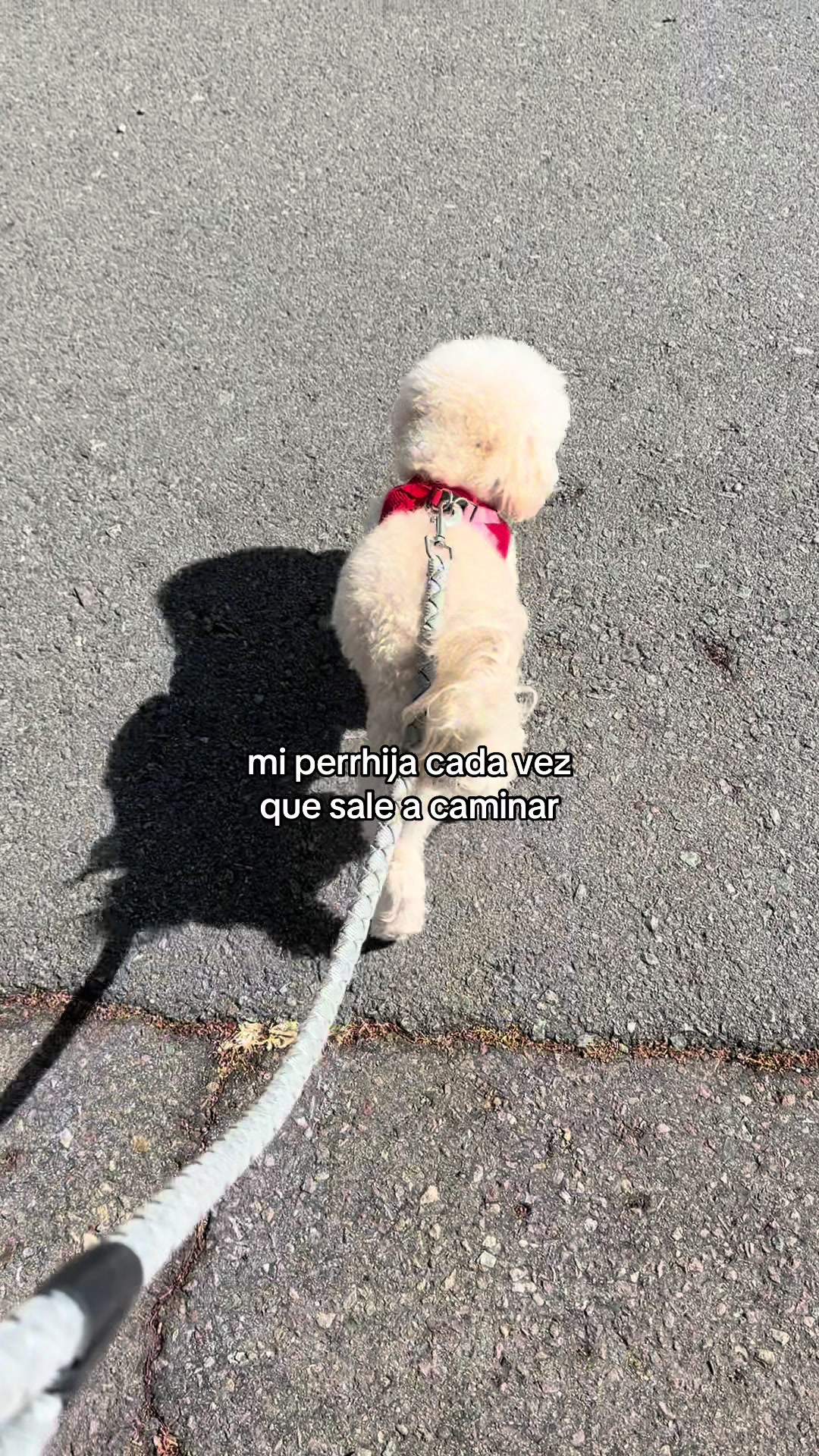 @maryanna