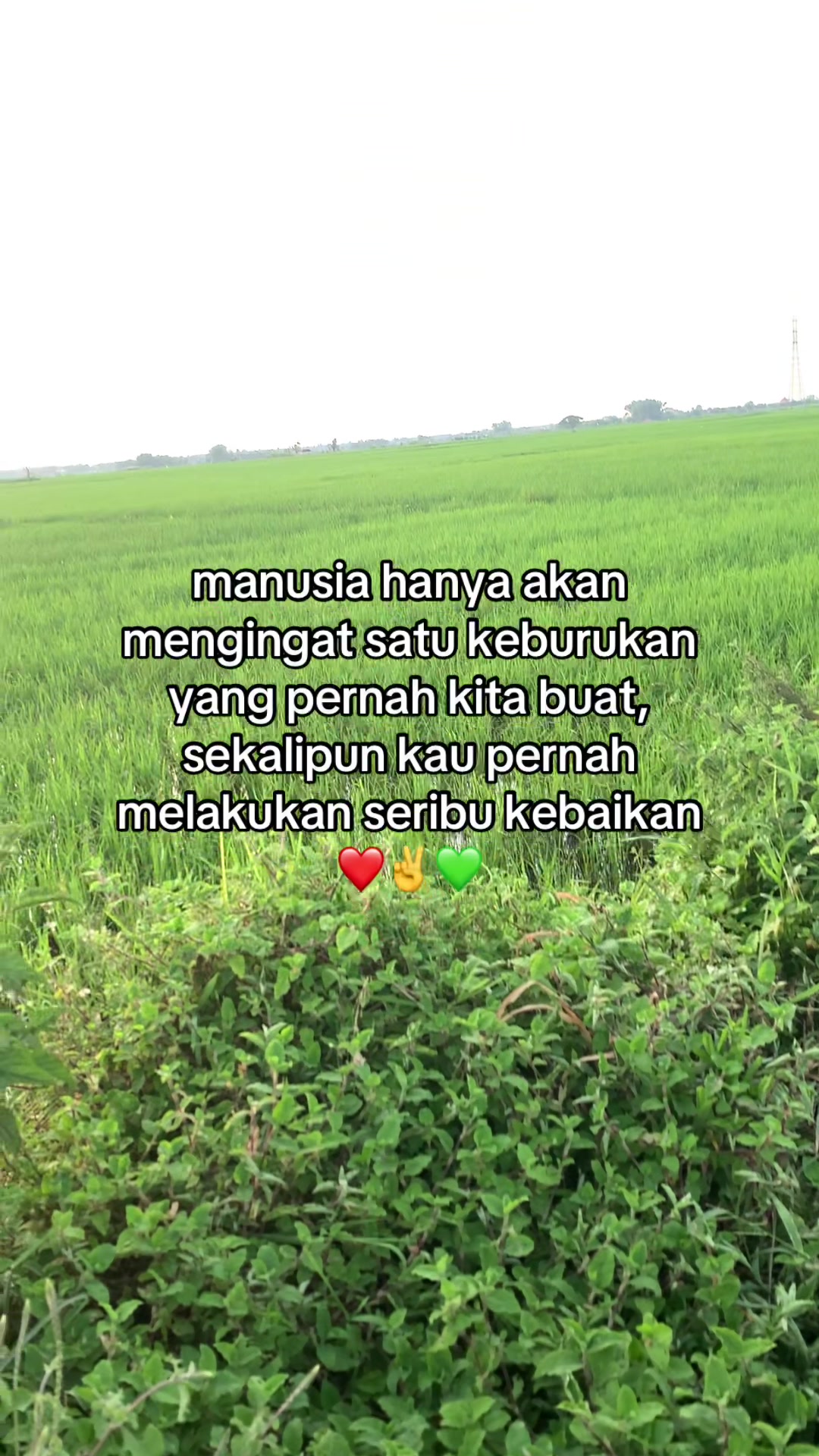 @𝙍𝙚𝙟𝙖𝙖