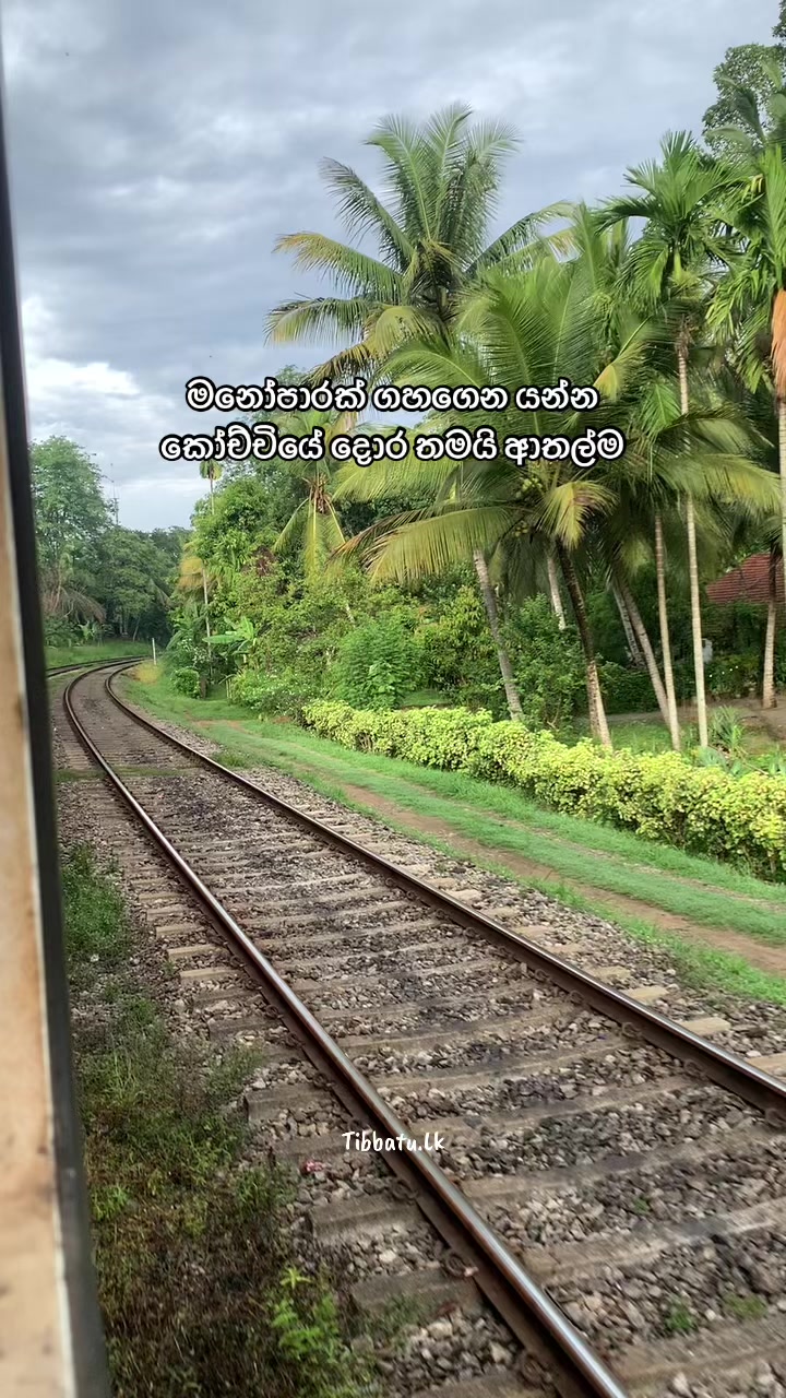 @Thibbatu.Lk