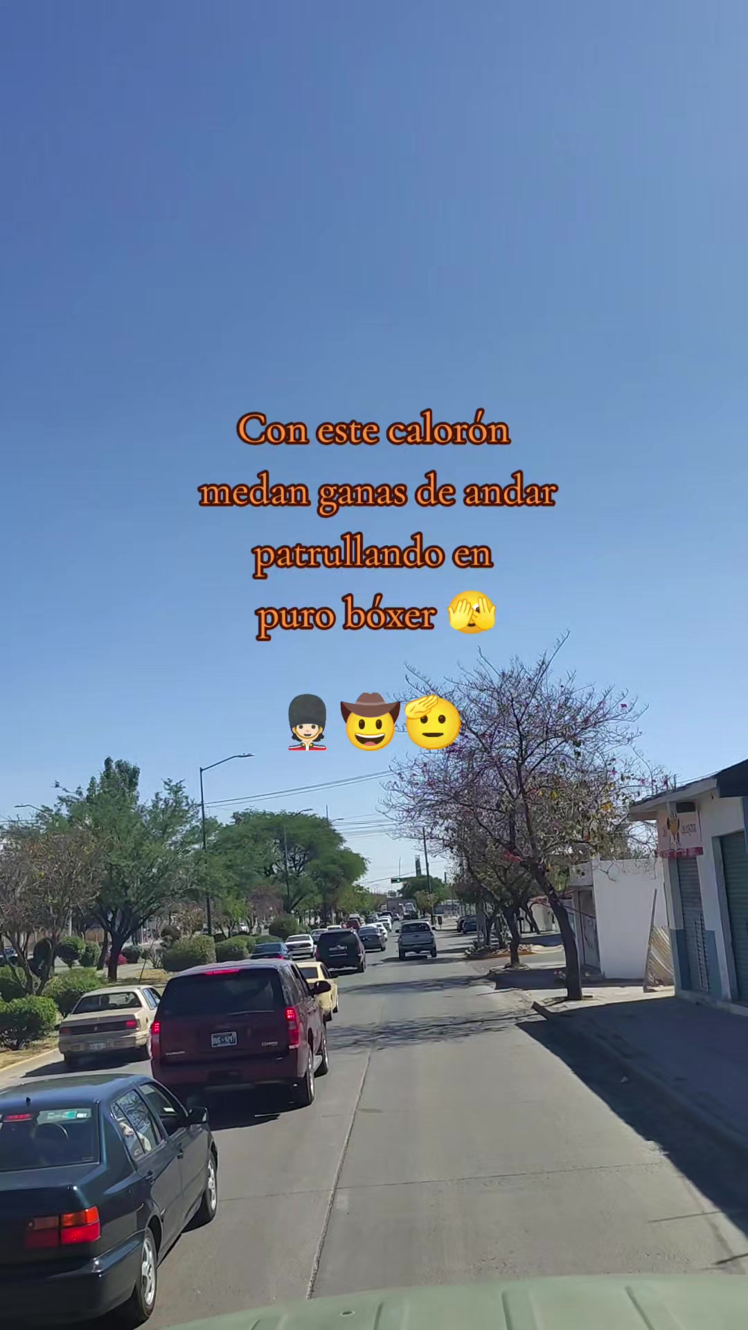 @vaquero 🪶 🤠💚💂🐎🌵🪶