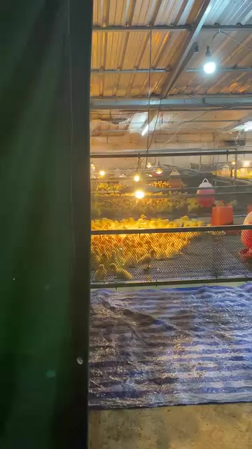 @La Leonera