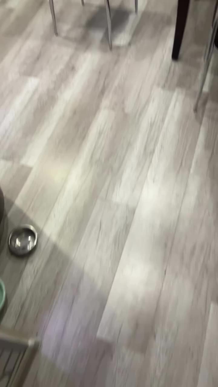 @tissyshi