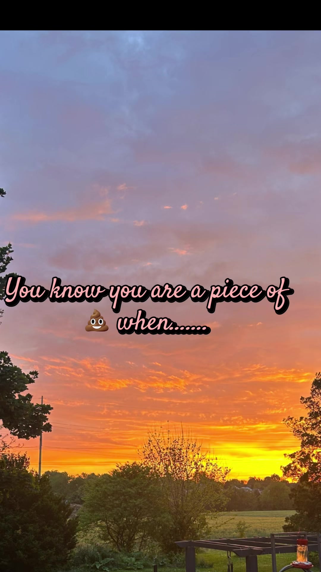 @You Know you are a piece of 💩
