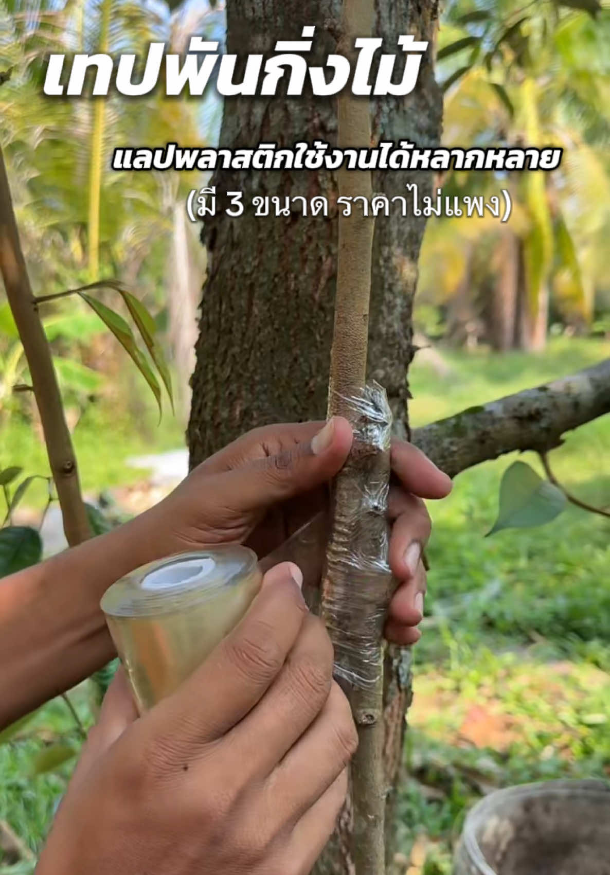 @มี๊ดาขายถูก(7k)
