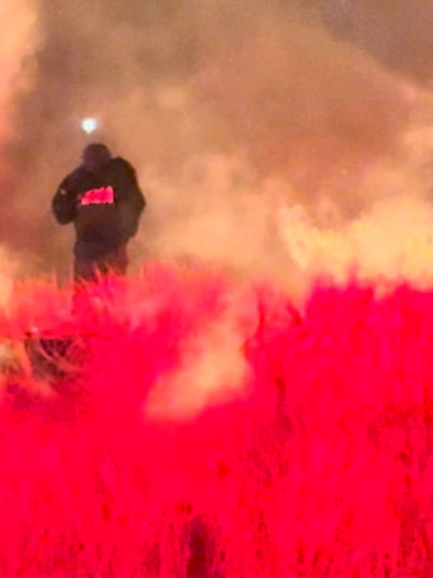 @lirikkafasi