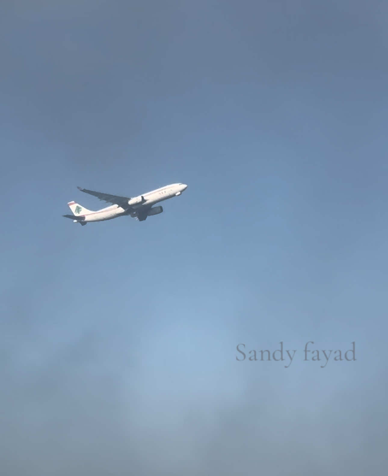@Sandy Fayad