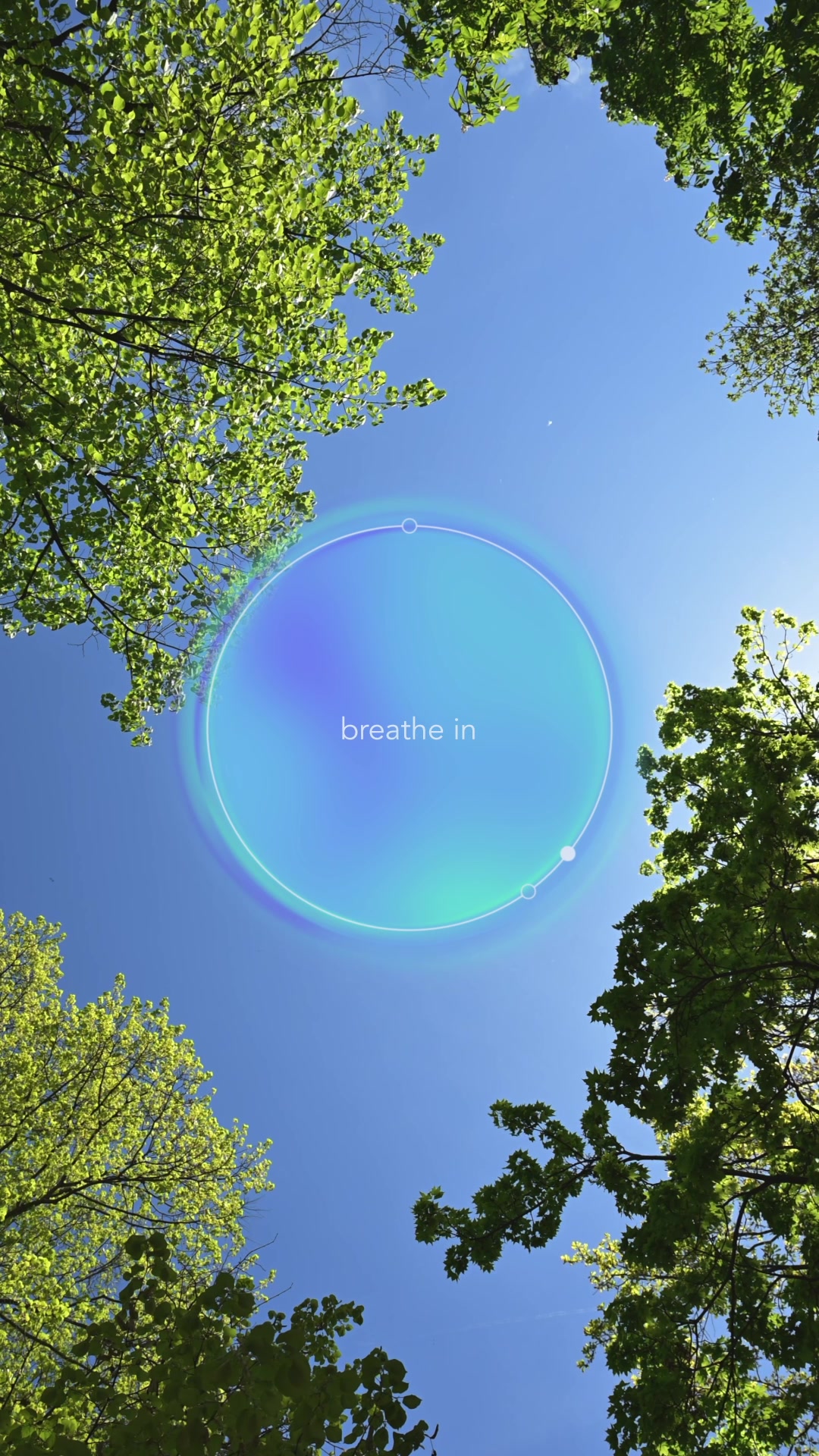 @Calm