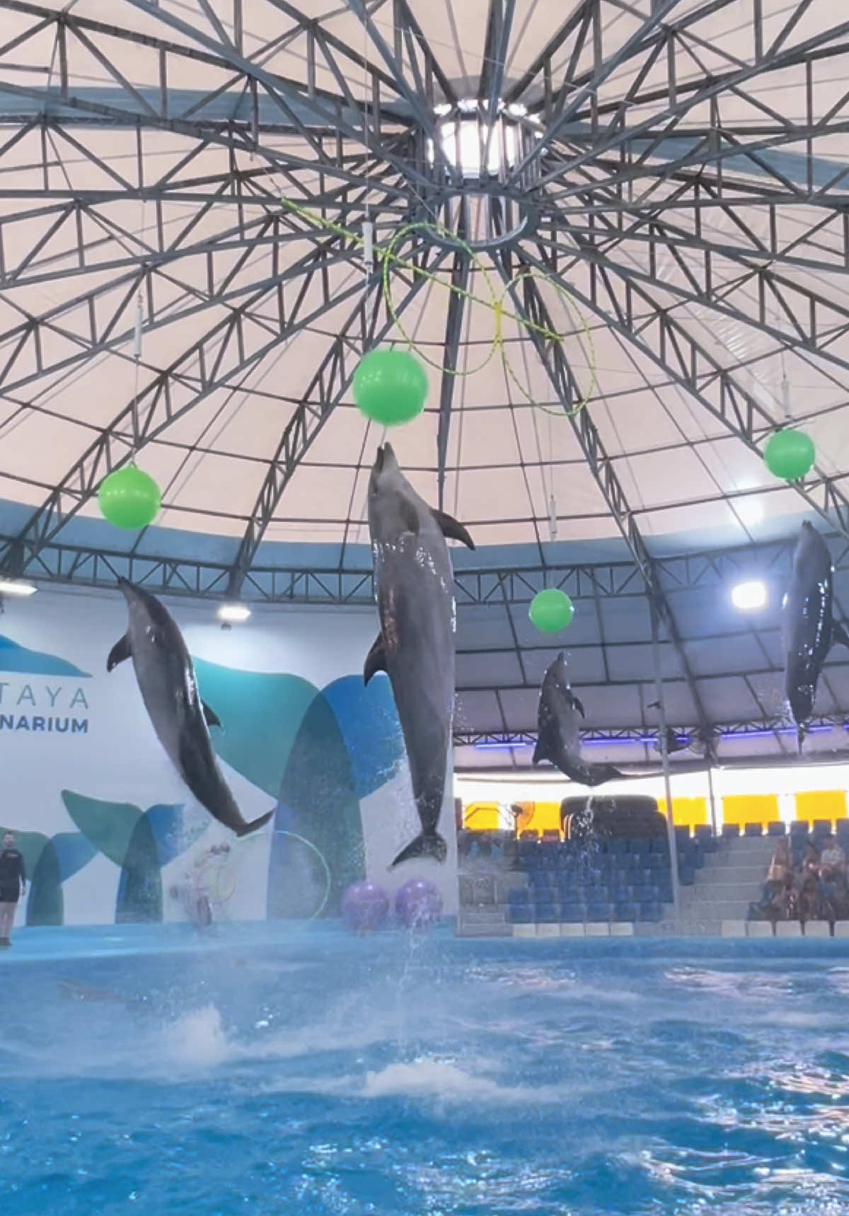 @Pattaya Dolphinarium