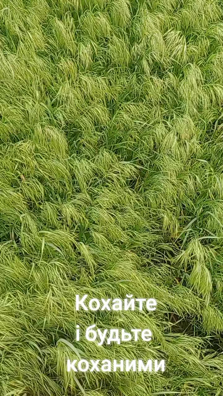 @Леся Нестерук
